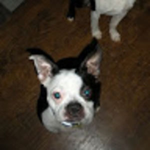 Meet your Posher, Rob